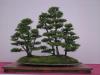 1376-PICT0160   